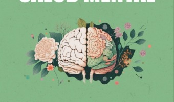 ATENCIN A LA SALUD MENTAL EN VILLA GESELL: SERVICIOS Y DISPOSITIVOS EN LOS CAPS
